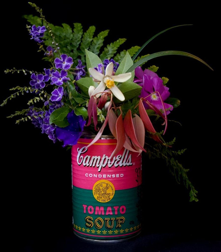 Pop Art Campbell's Soup Botanicals by SLC Co